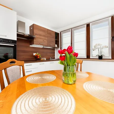 Vecchio Mulino By Rent Istria